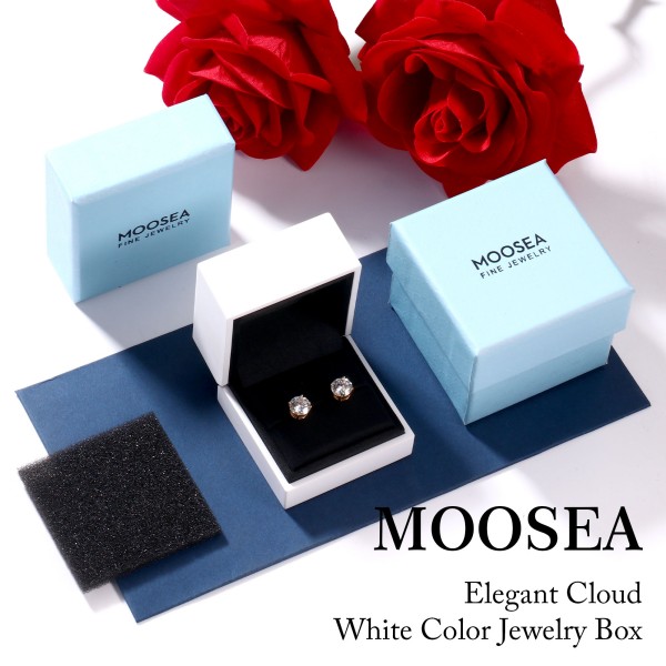 Round Moissanite Silver Earring